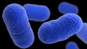 Newborn babies are the worst affected by Listeriosis outbreak