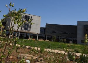 Omstrede psigiatriese hospitaal in Kimberley wat belastingbetaler R2 miljard gekos het, steeds in onbruik